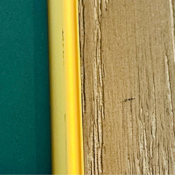 Framed and Matted Art Print Van Gogh’s Irises - Picture 5 of 12